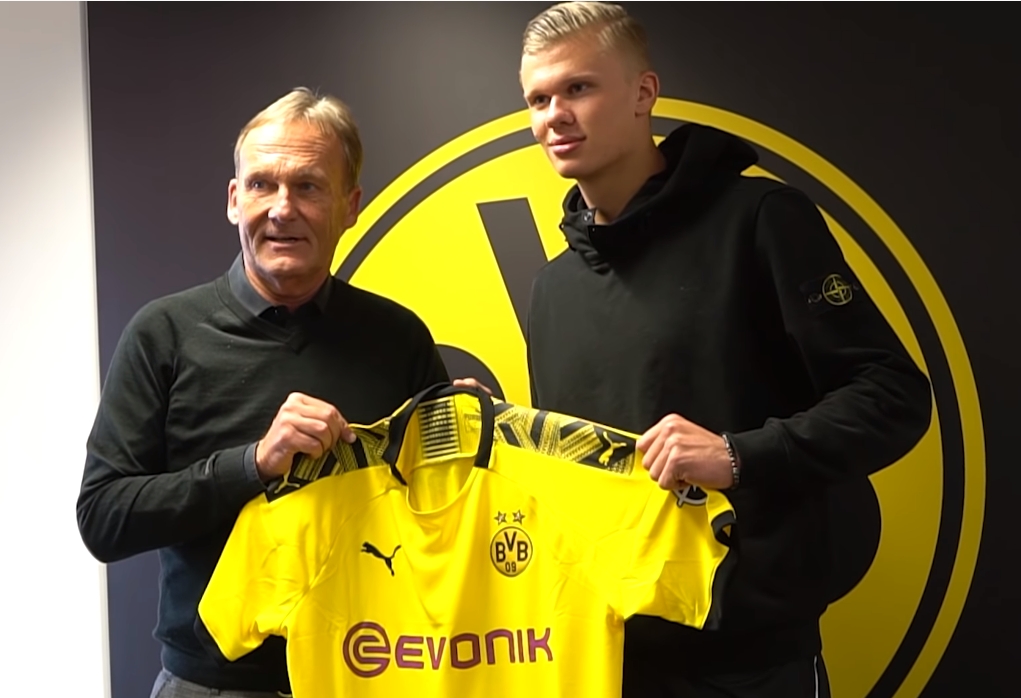 并非规则意 并非规则意